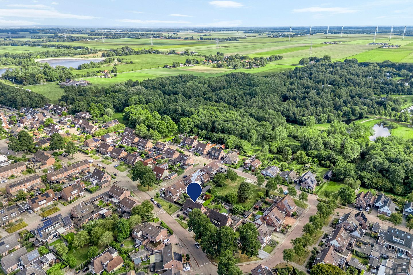 Foto 5 van De Koningsvaren 84