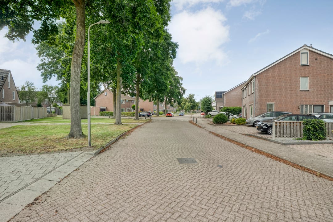 Foto 7 van De Koningsvaren 84