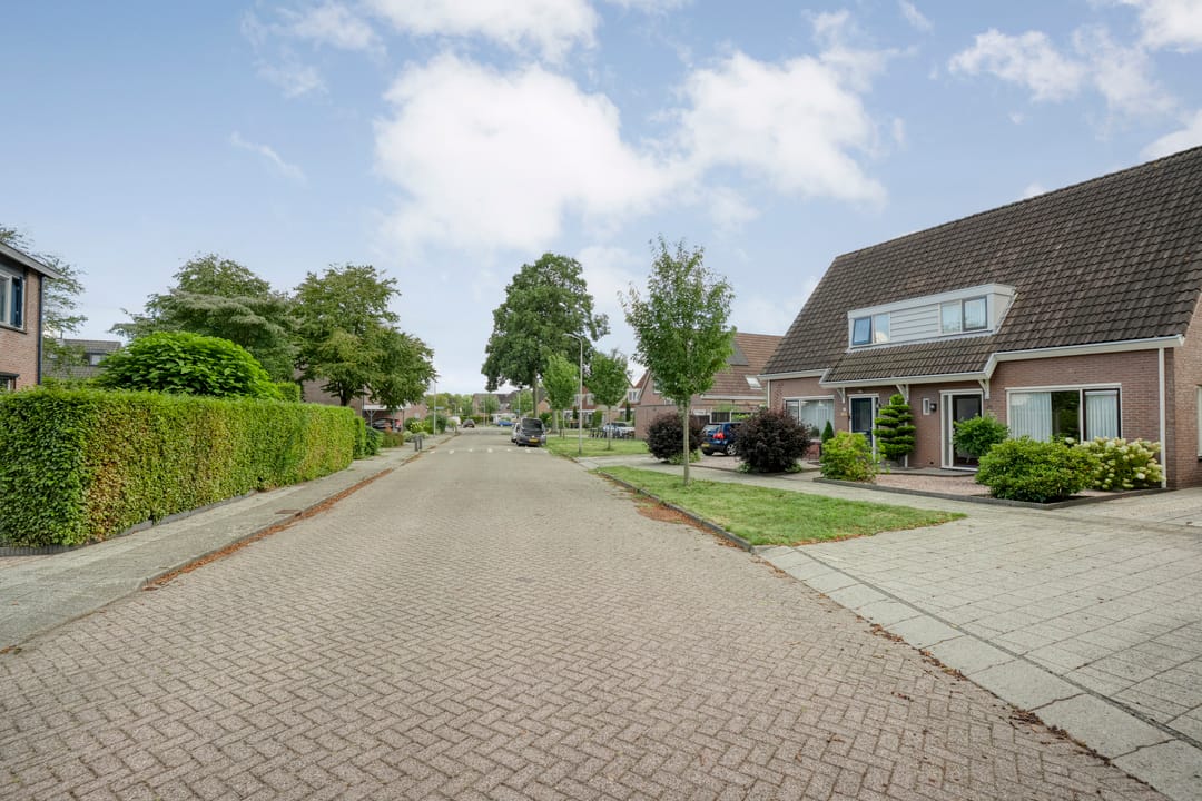 Foto 8 van De Koningsvaren 84