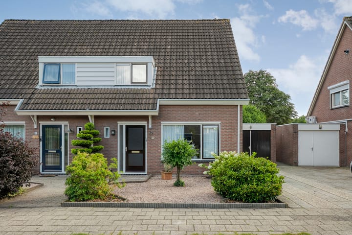 Foto 9 van De Koningsvaren 84