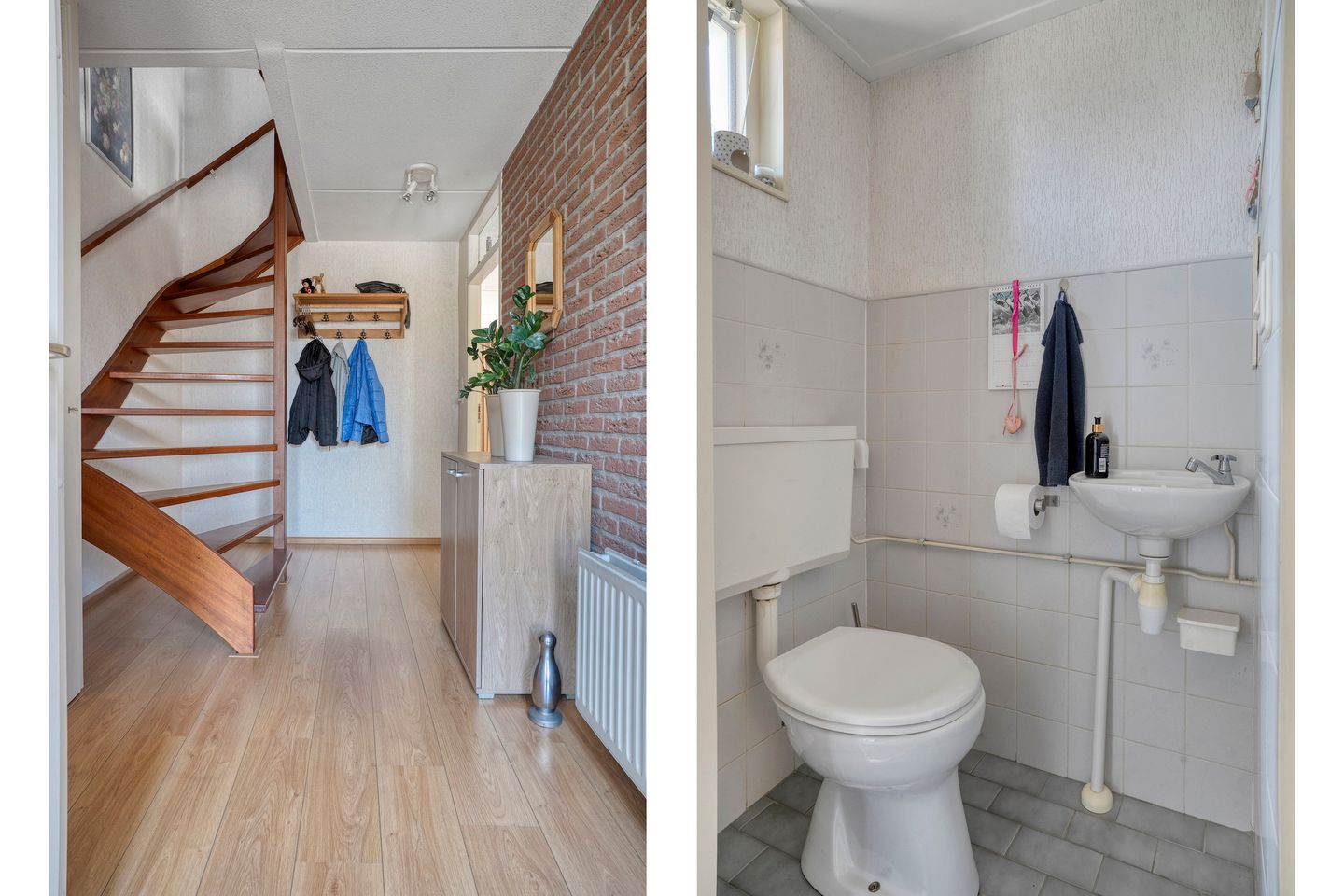 Foto 10 van De Koningsvaren 84