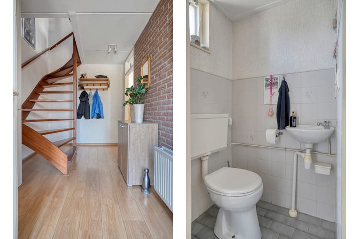 Foto 10 van De Koningsvaren 84