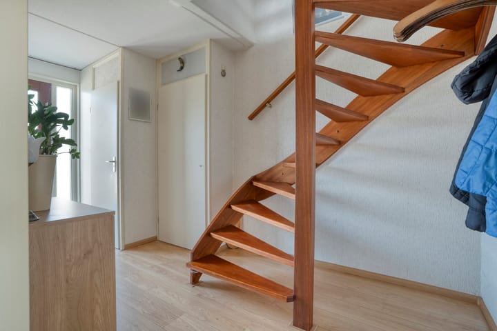 Foto 11 van De Koningsvaren 84