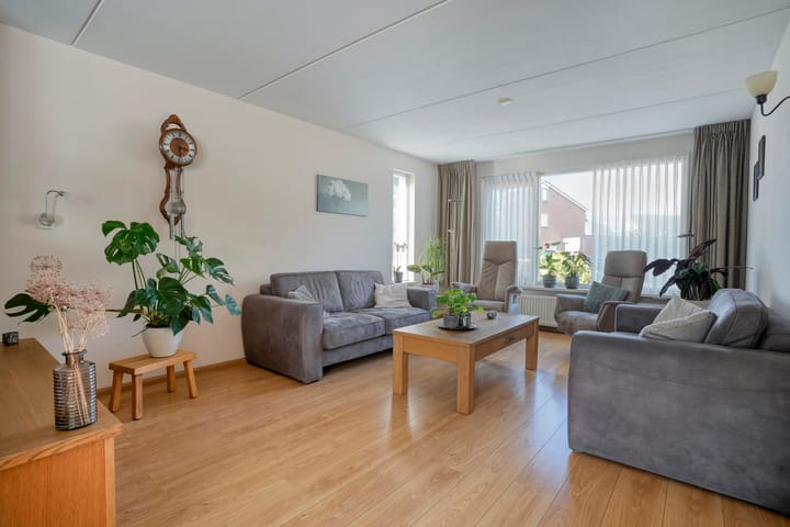 Foto 12 van De Koningsvaren 84