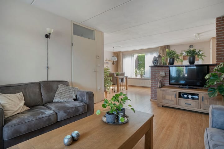 Foto 14 van De Koningsvaren 84