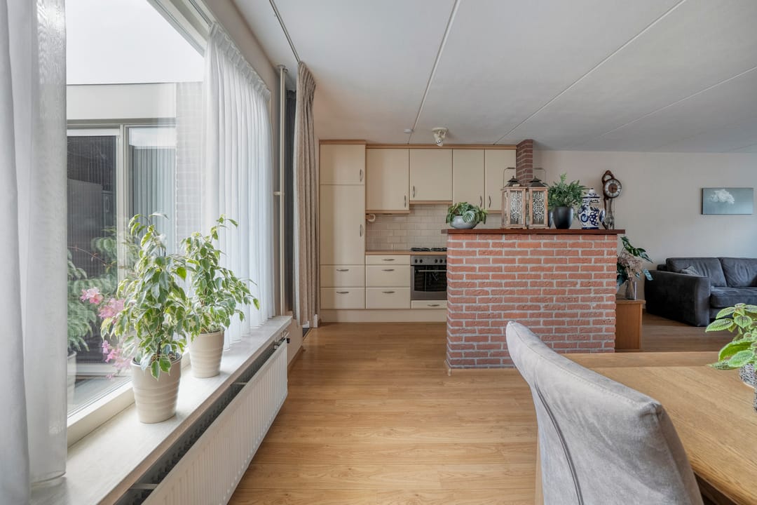 Foto 16 van De Koningsvaren 84