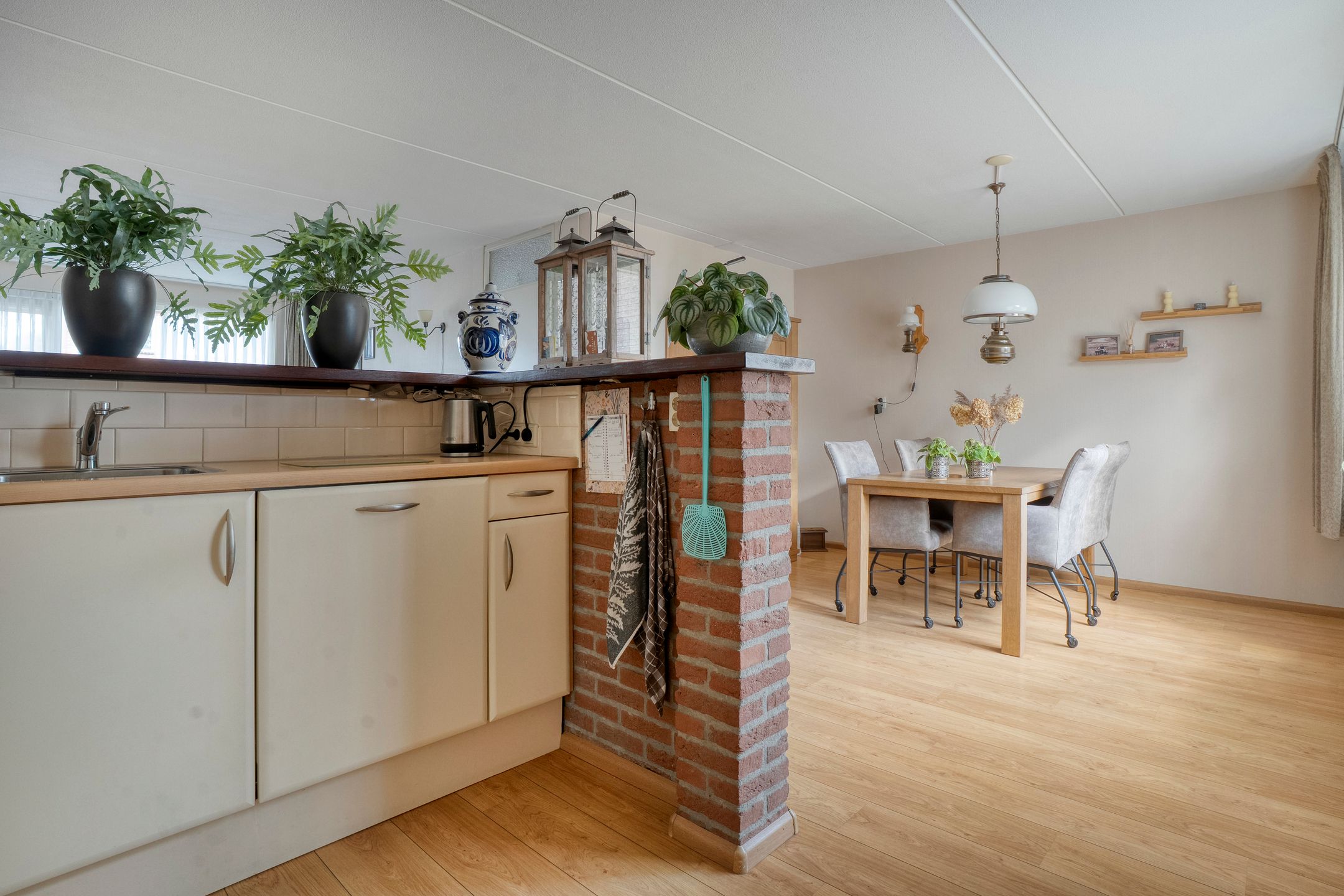 Foto 18 van De Koningsvaren 84