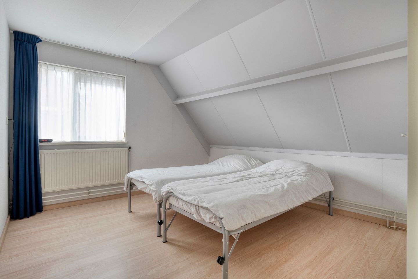 Foto 25 van De Koningsvaren 84