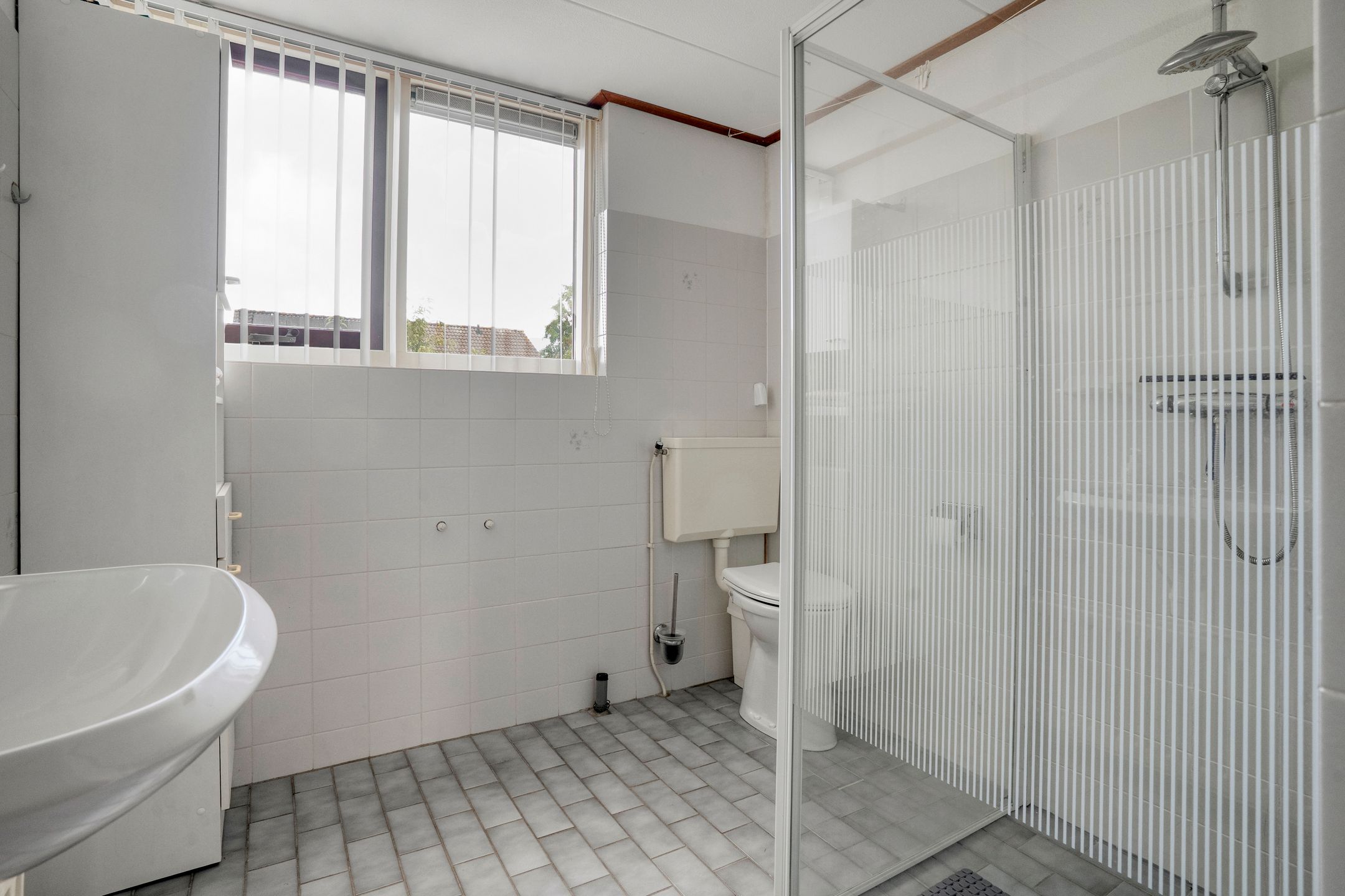 Foto 27 van De Koningsvaren 84