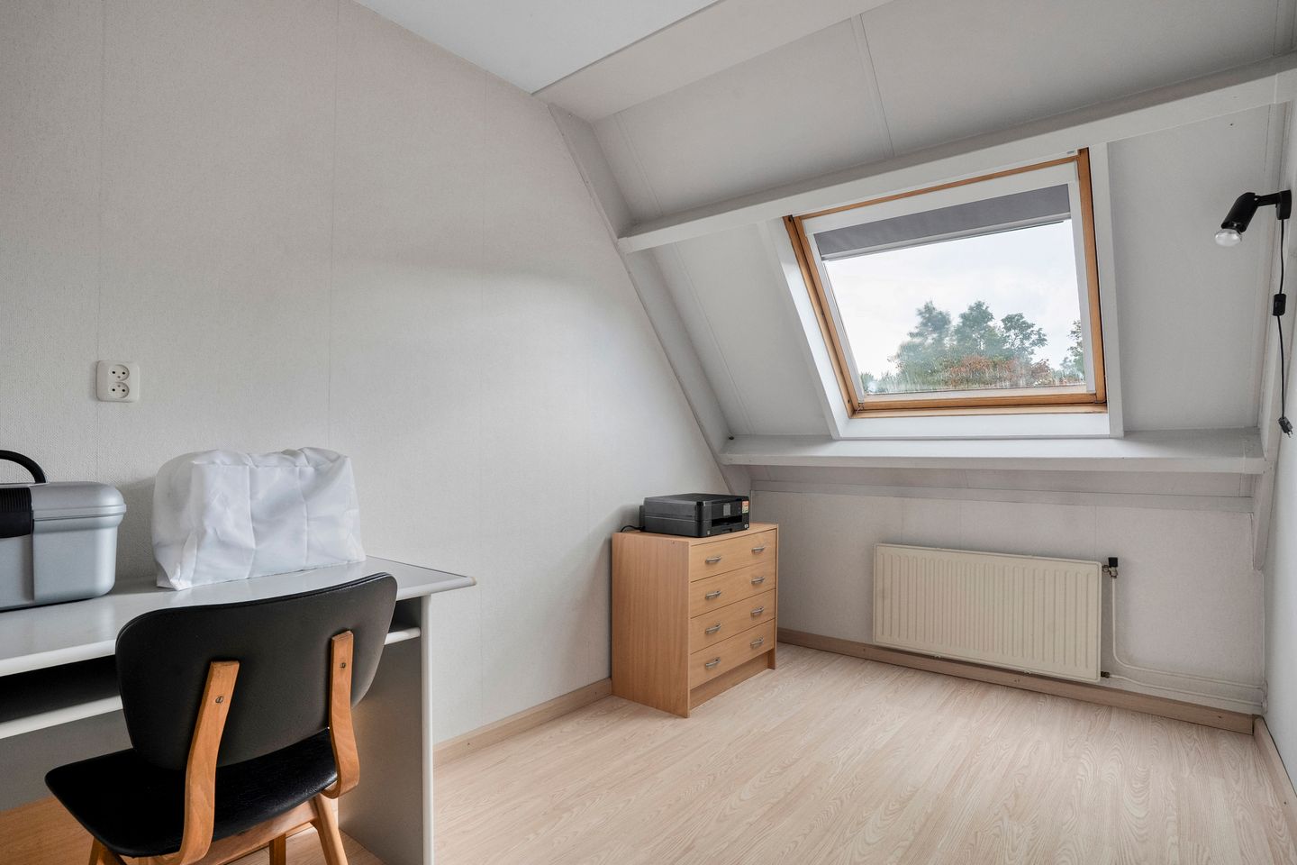 Foto 29 van De Koningsvaren 84