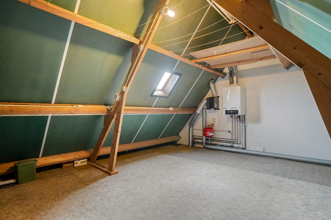 Foto 31 van De Koningsvaren 84