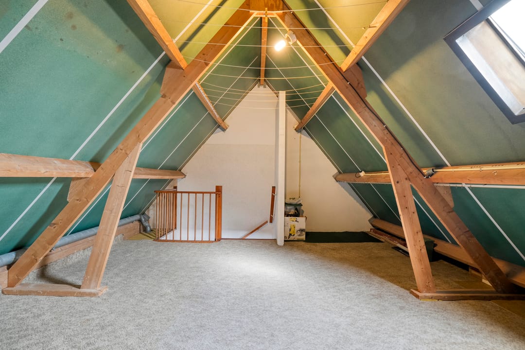 Foto 32 van De Koningsvaren 84