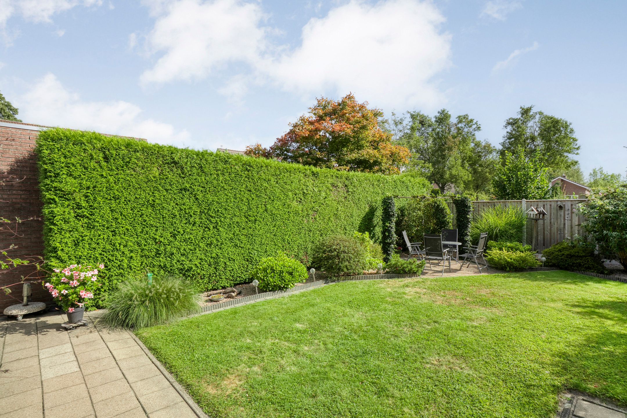 Foto 36 van De Koningsvaren 84