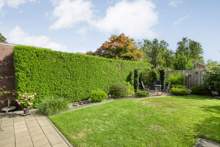 Foto 36 van De Koningsvaren 84