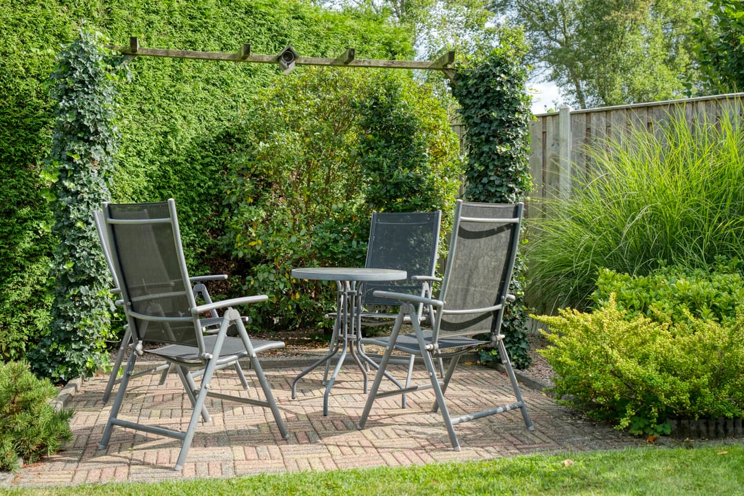 Foto 37 van De Koningsvaren 84