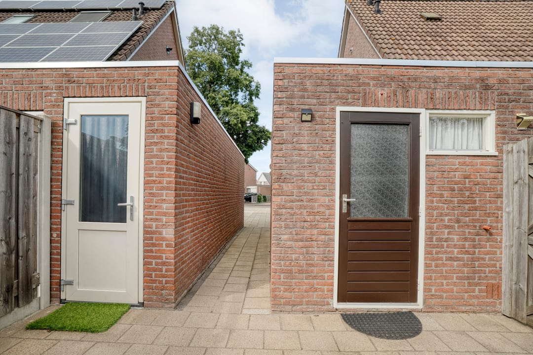 Foto 41 van De Koningsvaren 84