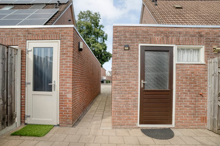 Foto 41 van De Koningsvaren 84