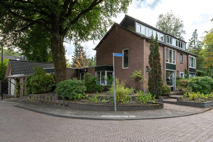 Foto 35 van Keltenlaan 1