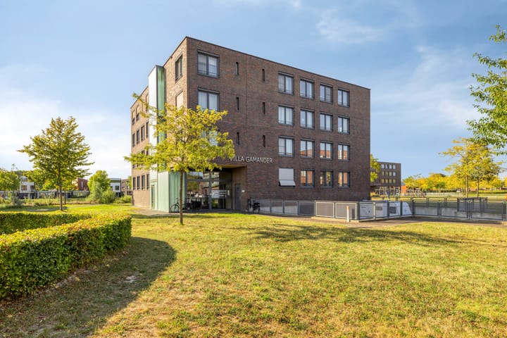 Foto 1 van Gamander 6