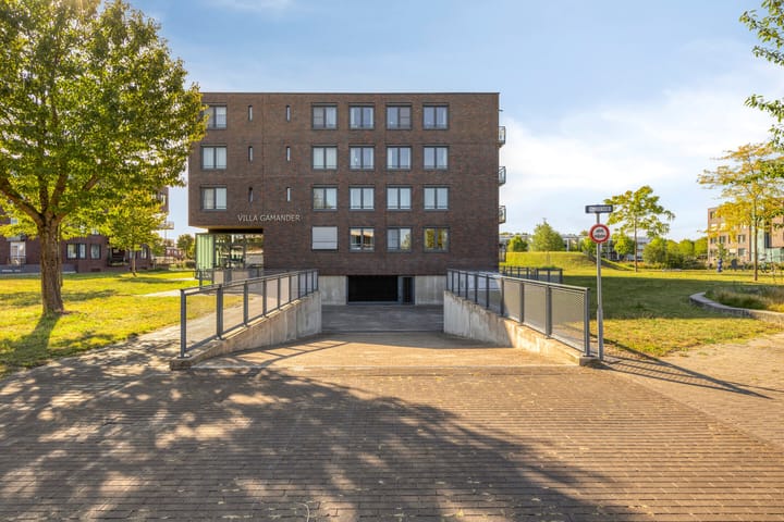 Photo 2 of Gamander 6