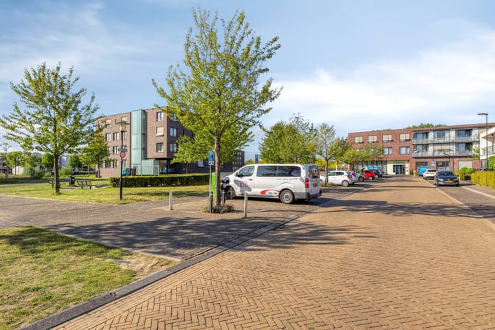 Photo 3 of Gamander 6