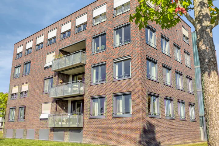 Photo 5 of Gamander 6