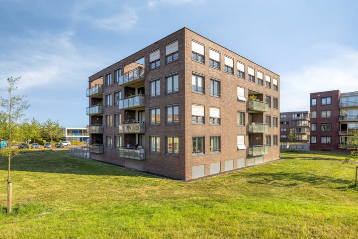 Foto 6 van Gamander 6