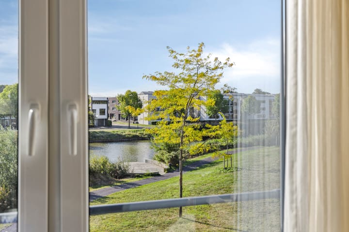 Foto 17 van Gamander 6