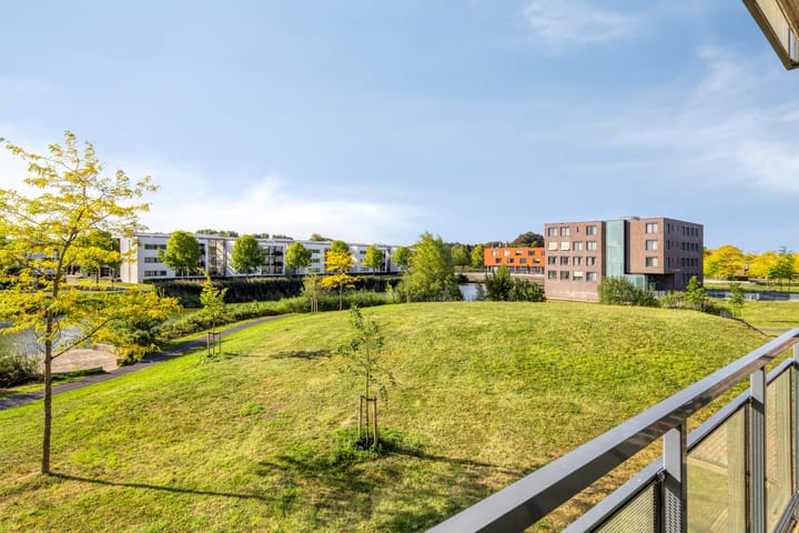 Foto 28 van Gamander 6