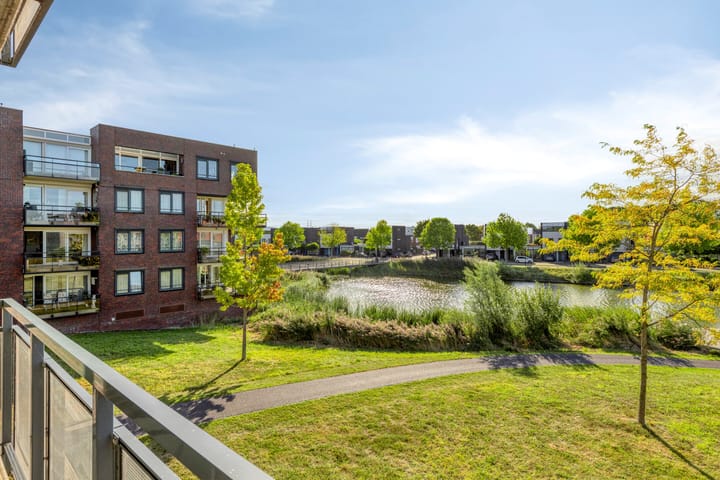 Foto 29 van Gamander 6