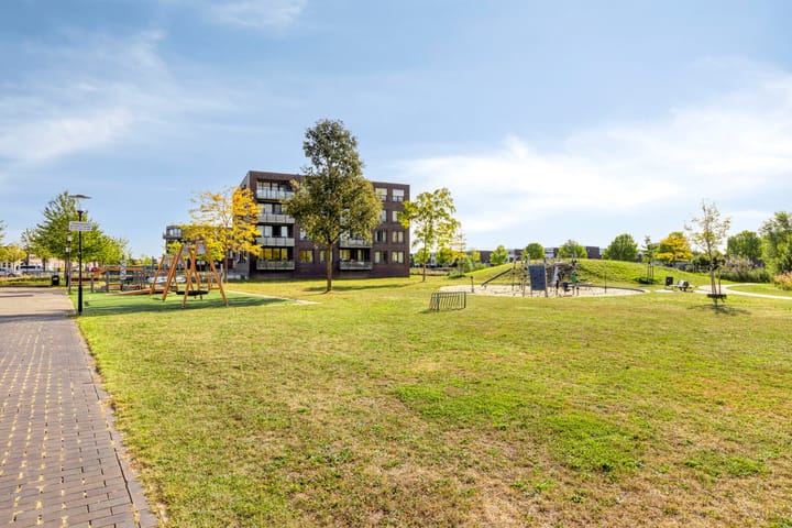 Foto 34 van Gamander 6