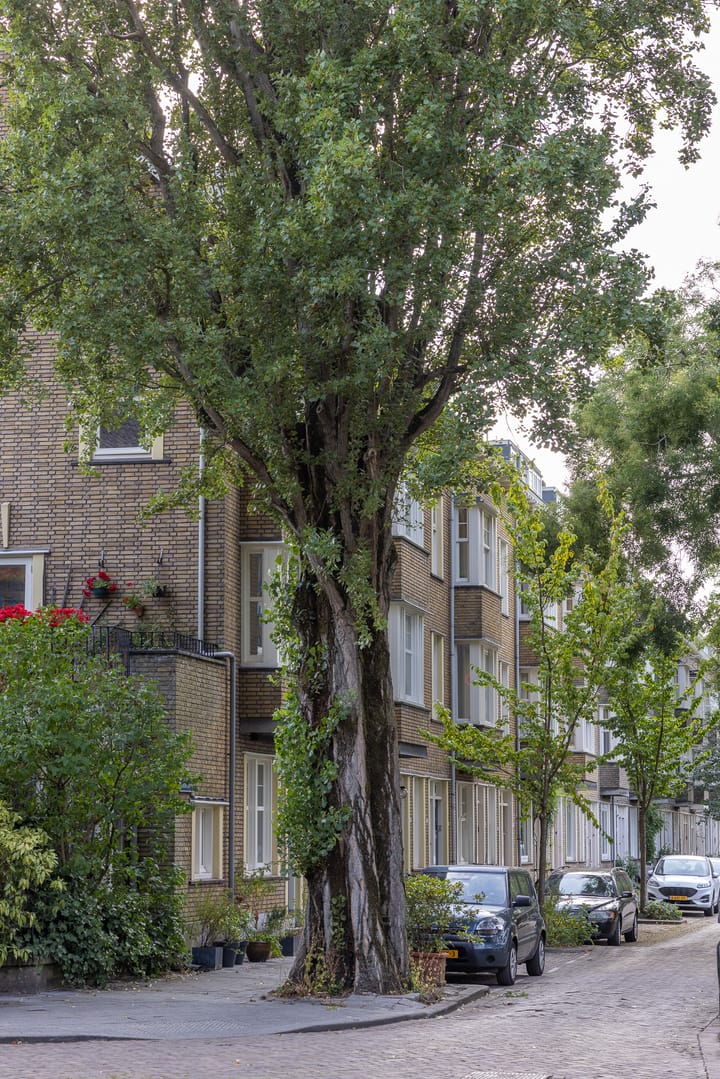 Foto 35 van Statensingel 30-C