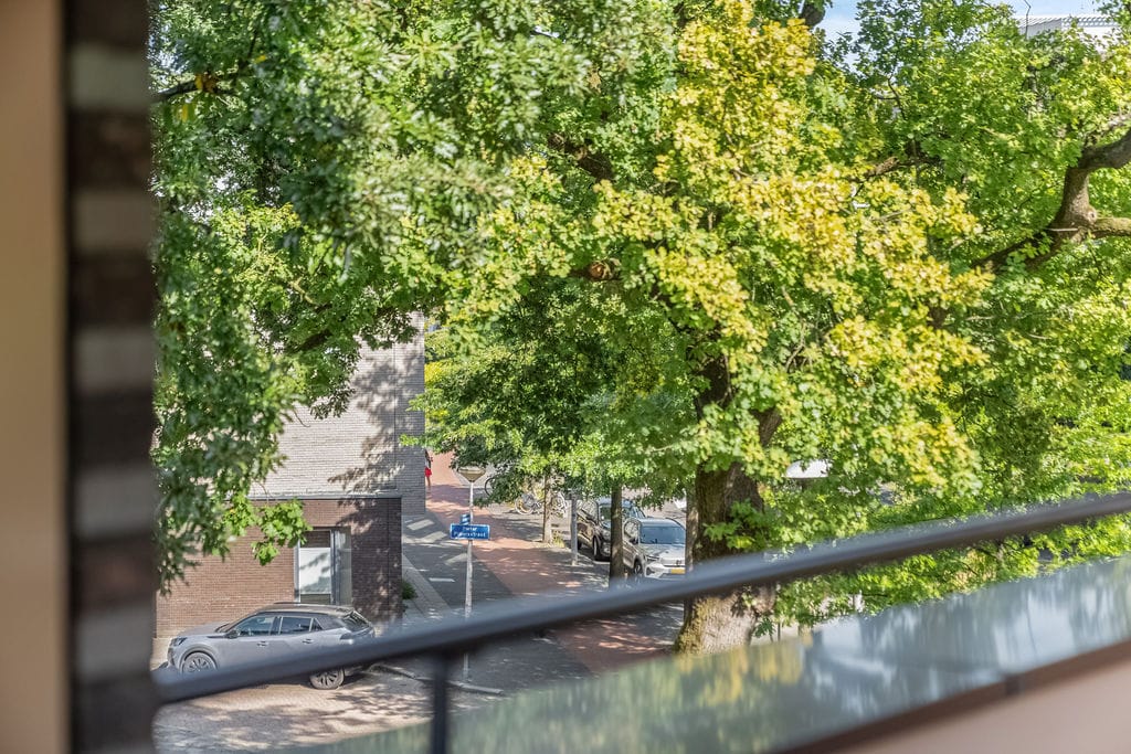 Foto 21 van Piet Mondriaanlaan 87