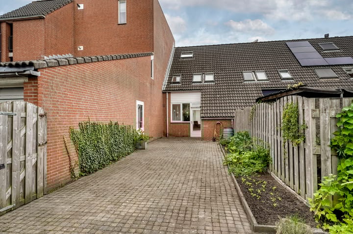 Foto 4 van Hercules 84