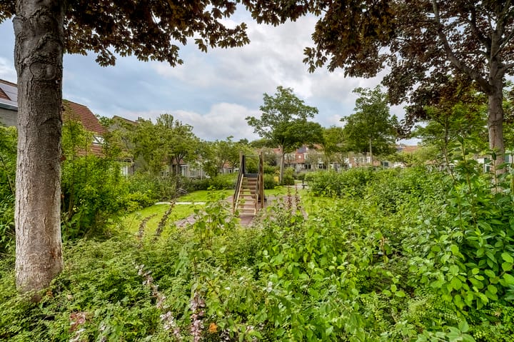 Foto 40 van Hercules 84