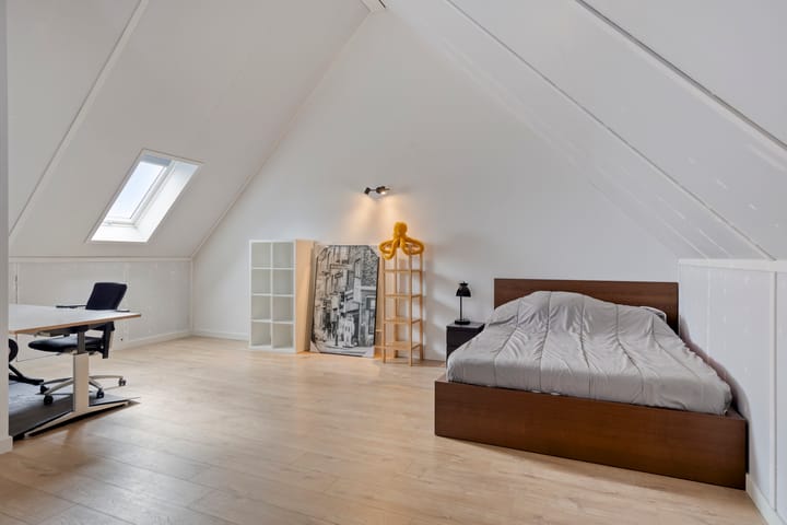 Foto 23 van François Brandthof 13