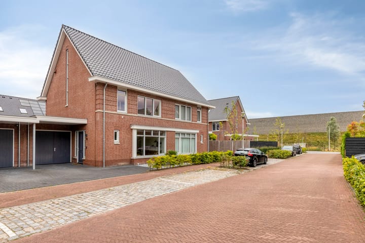 Foto 33 van François Brandthof 13