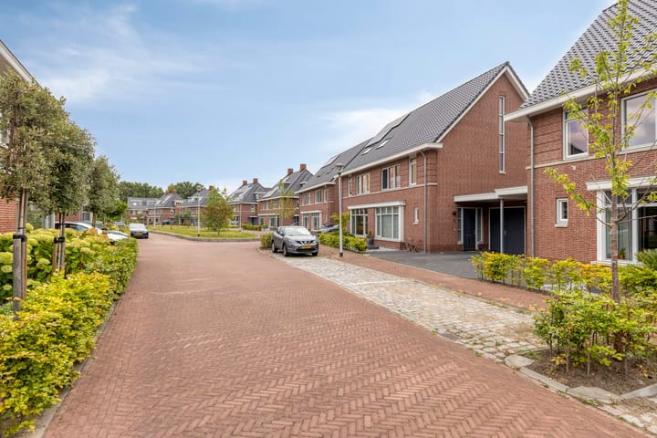 Foto 35 van François Brandthof 13