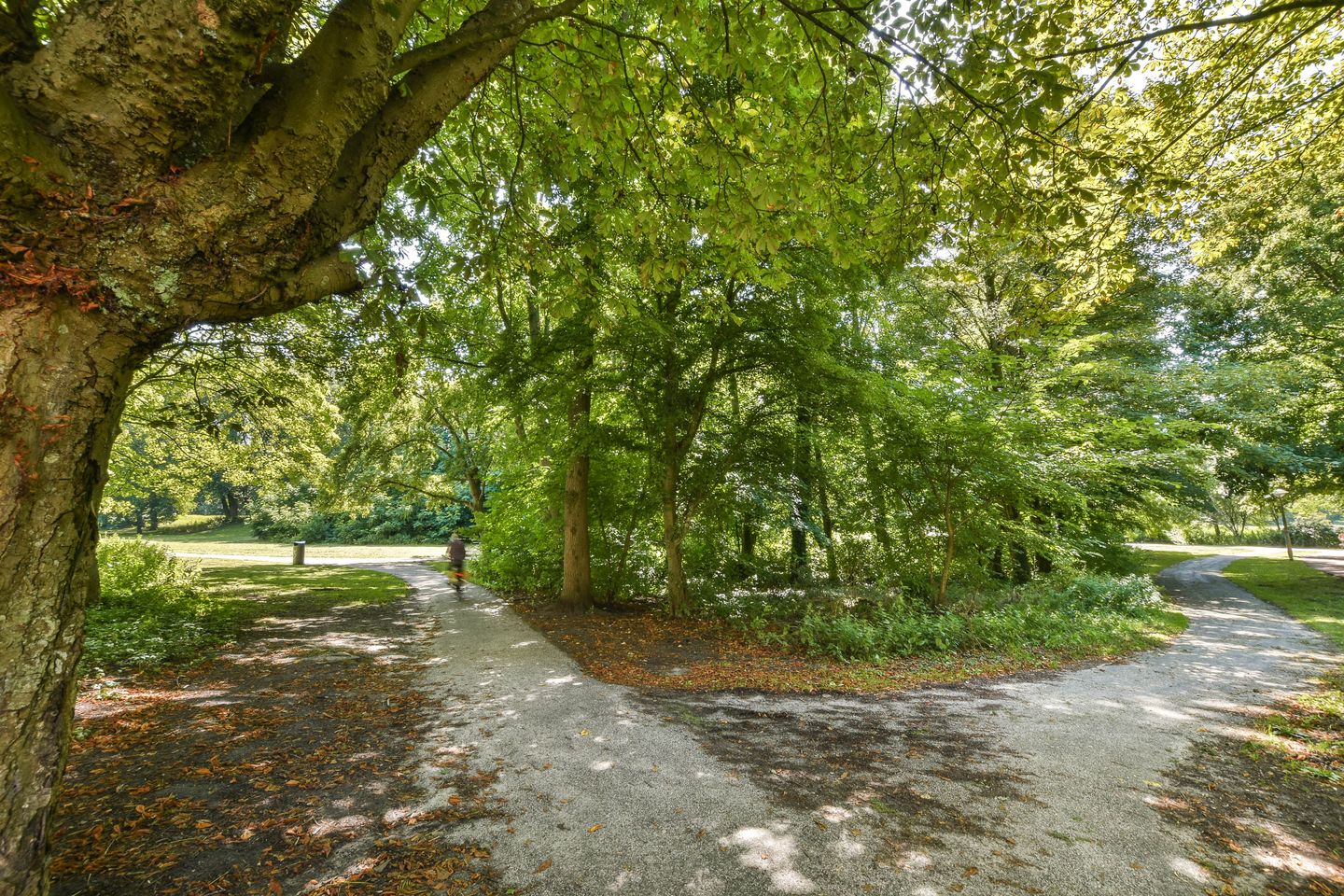 Foto 20 van Van Spilbergenstraat 77-2