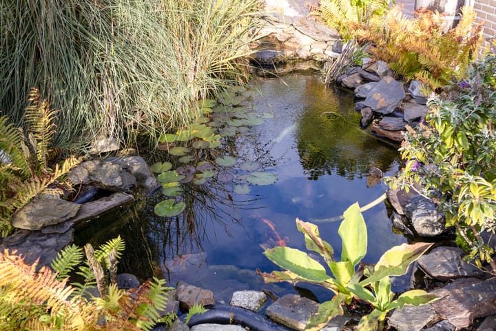 Foto 29 van Harmonielaan 15