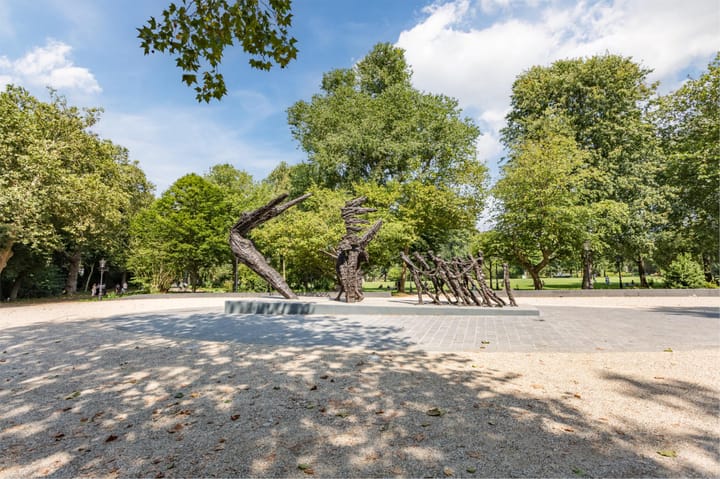 Foto 28 van Beukenplein 20-4