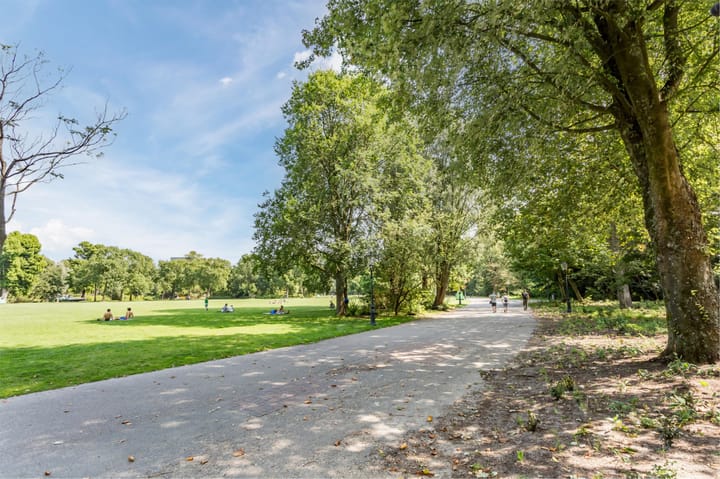 Foto 29 van Beukenplein 20-4