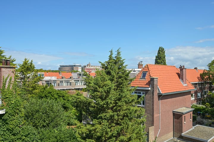 Photo 46 of Breitnerlaan 78