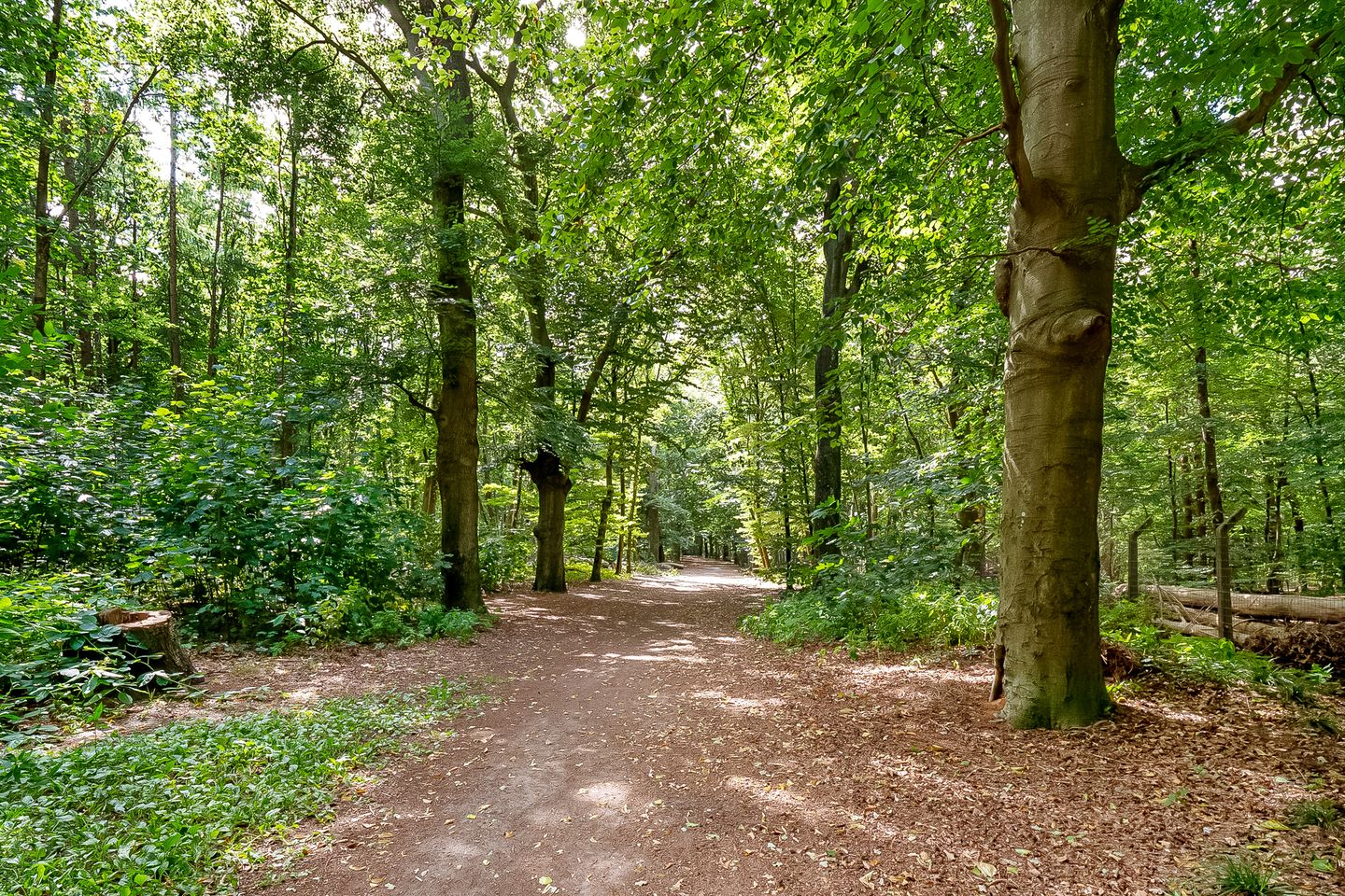 Foto 34 van Korte Bergweg 40