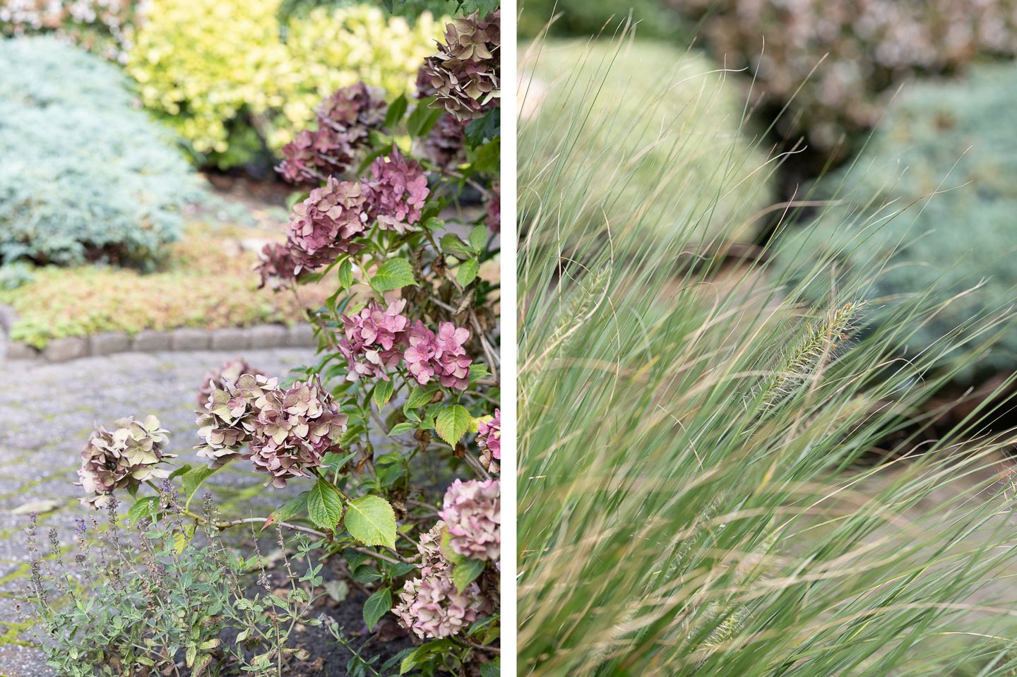 Foto 49 van Raadhuisstraat 2