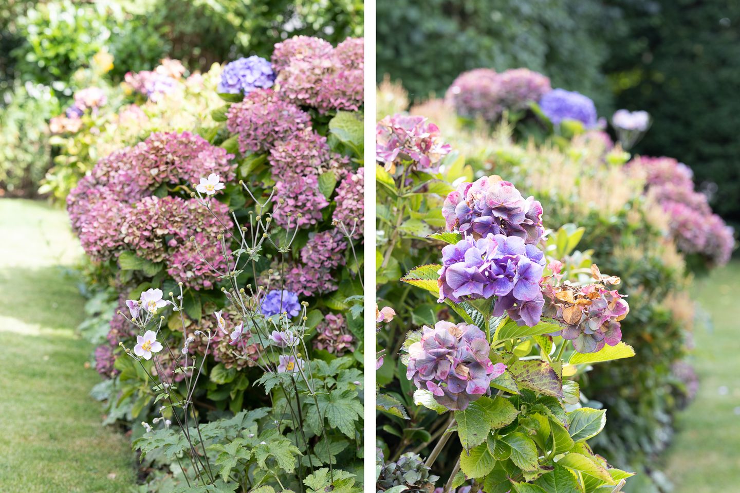 Foto 50 van Raadhuisstraat 2