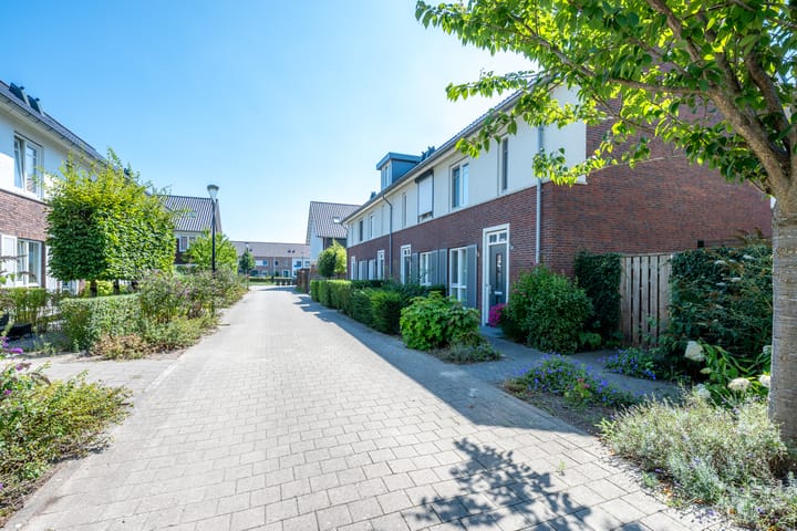 Foto 49 van Wenemar van Redichemstraat 4