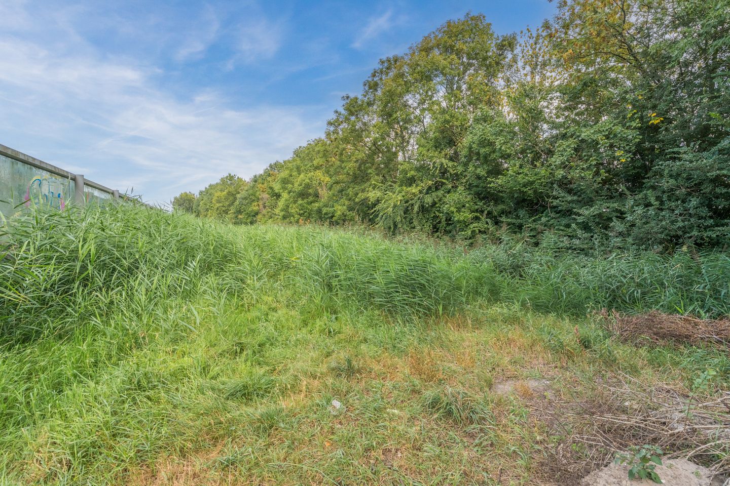 Foto 49 van Berlicumstraat 11