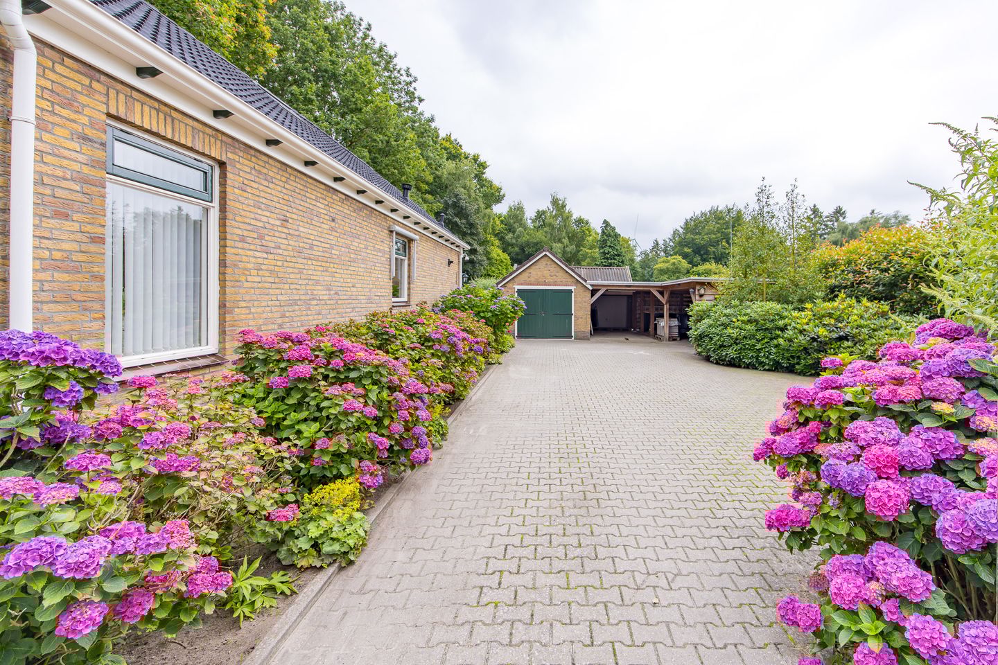 Photo 5 of Noorderdiep 134