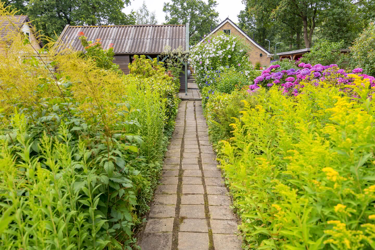 Photo 29 of Noorderdiep 134